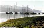 Bahía Golondrina (Ushuaia, Tierra del Fuego, Patagonia Argentina)